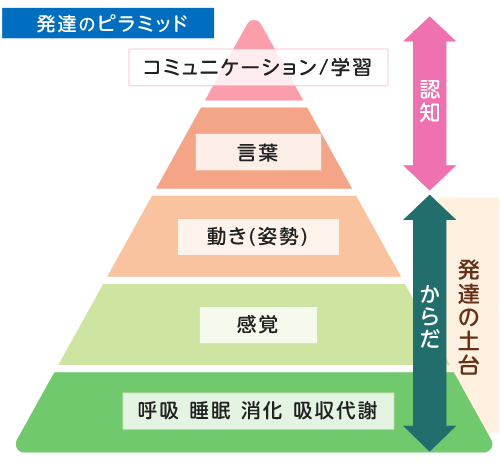 発達のピラミッド